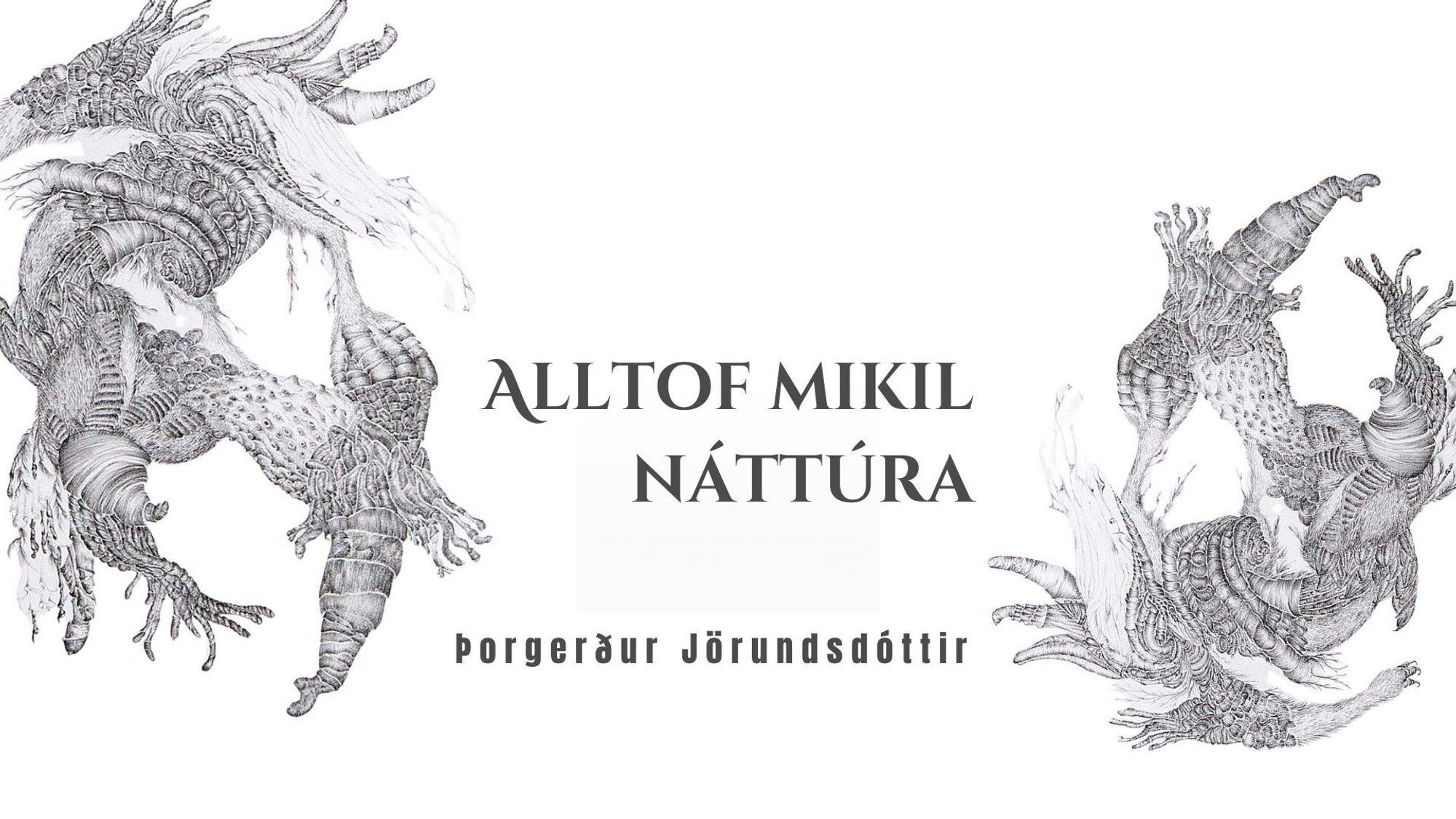 Þorgerður Jörundsdóttir